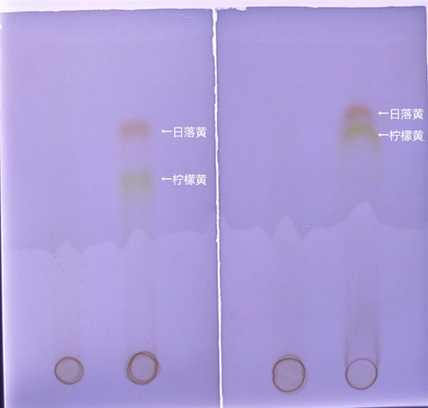 20191120_����